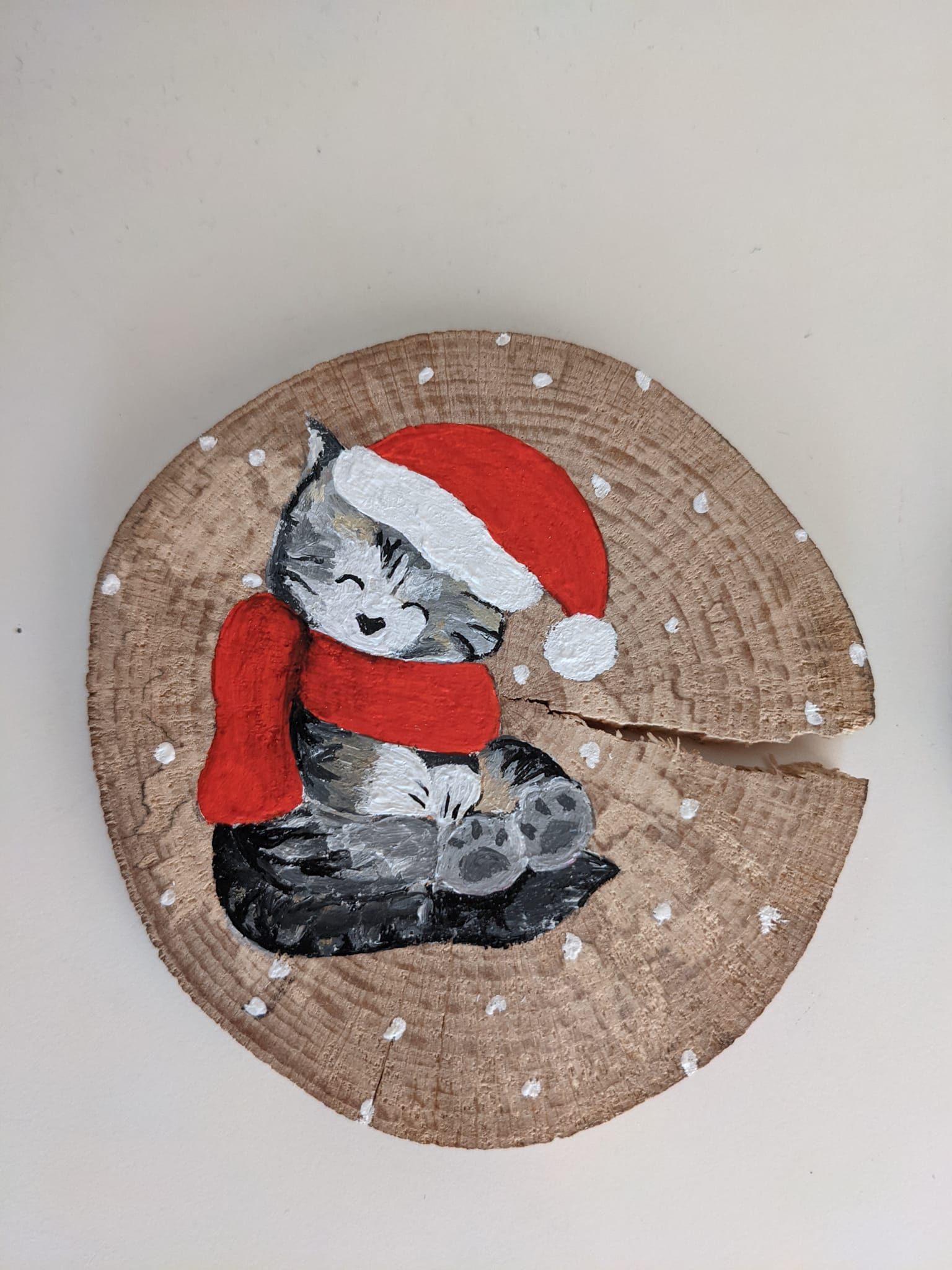 Chaton de Noël