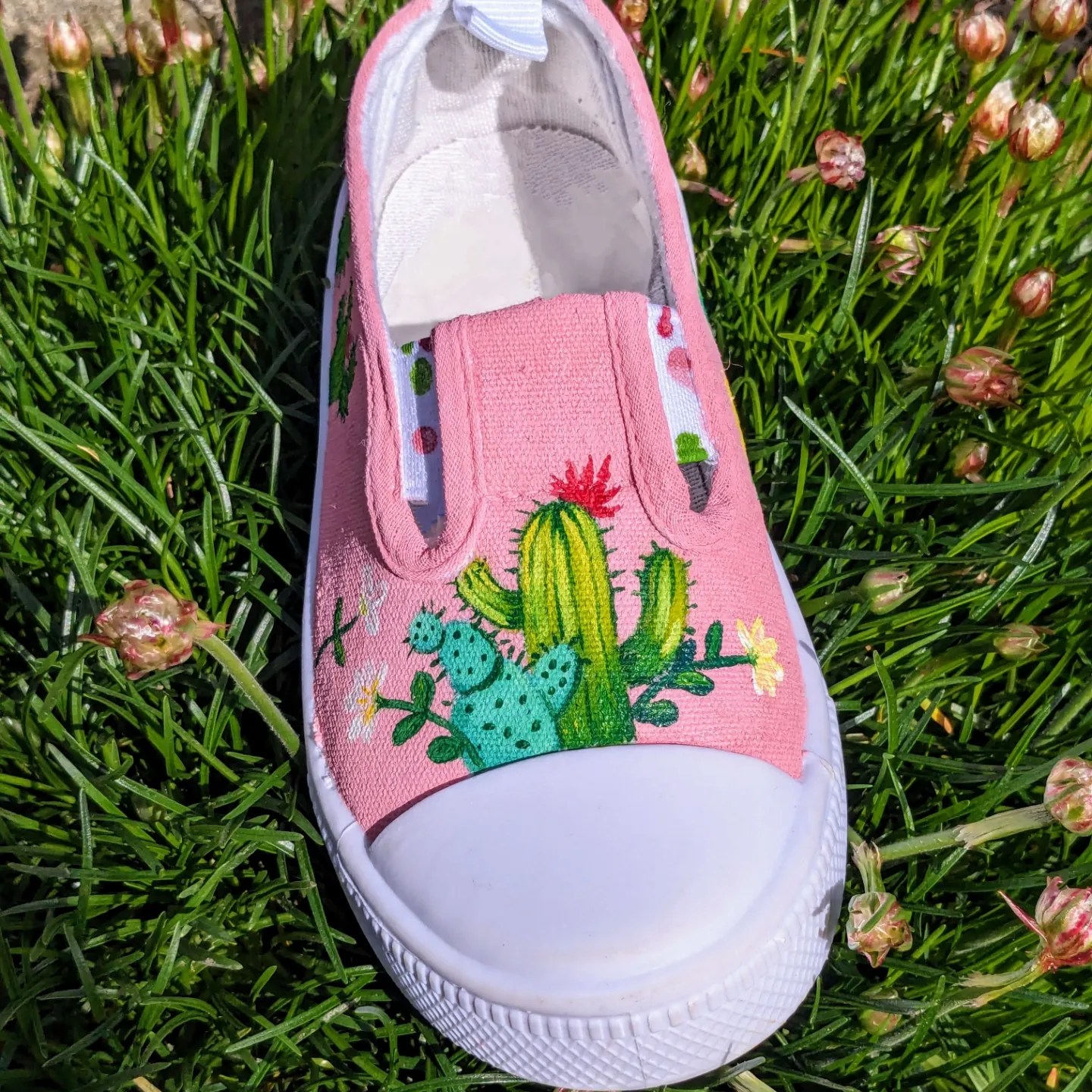 Cactus