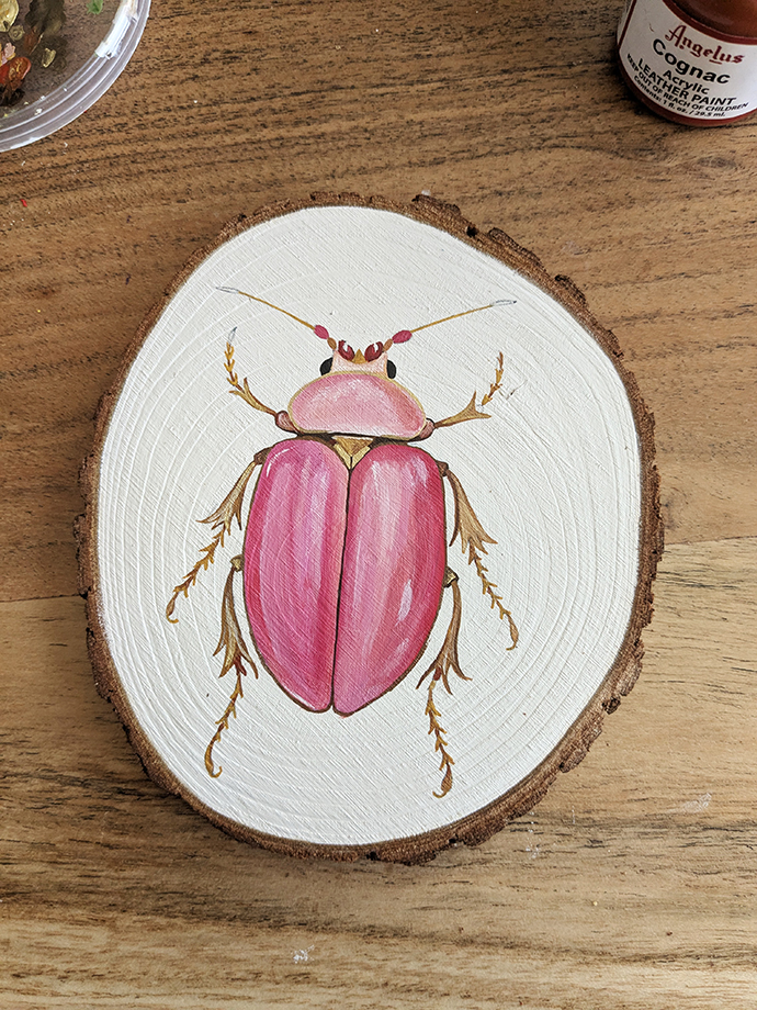 Pink Beetle