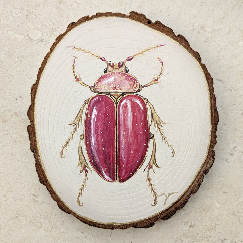 Pink Beetle