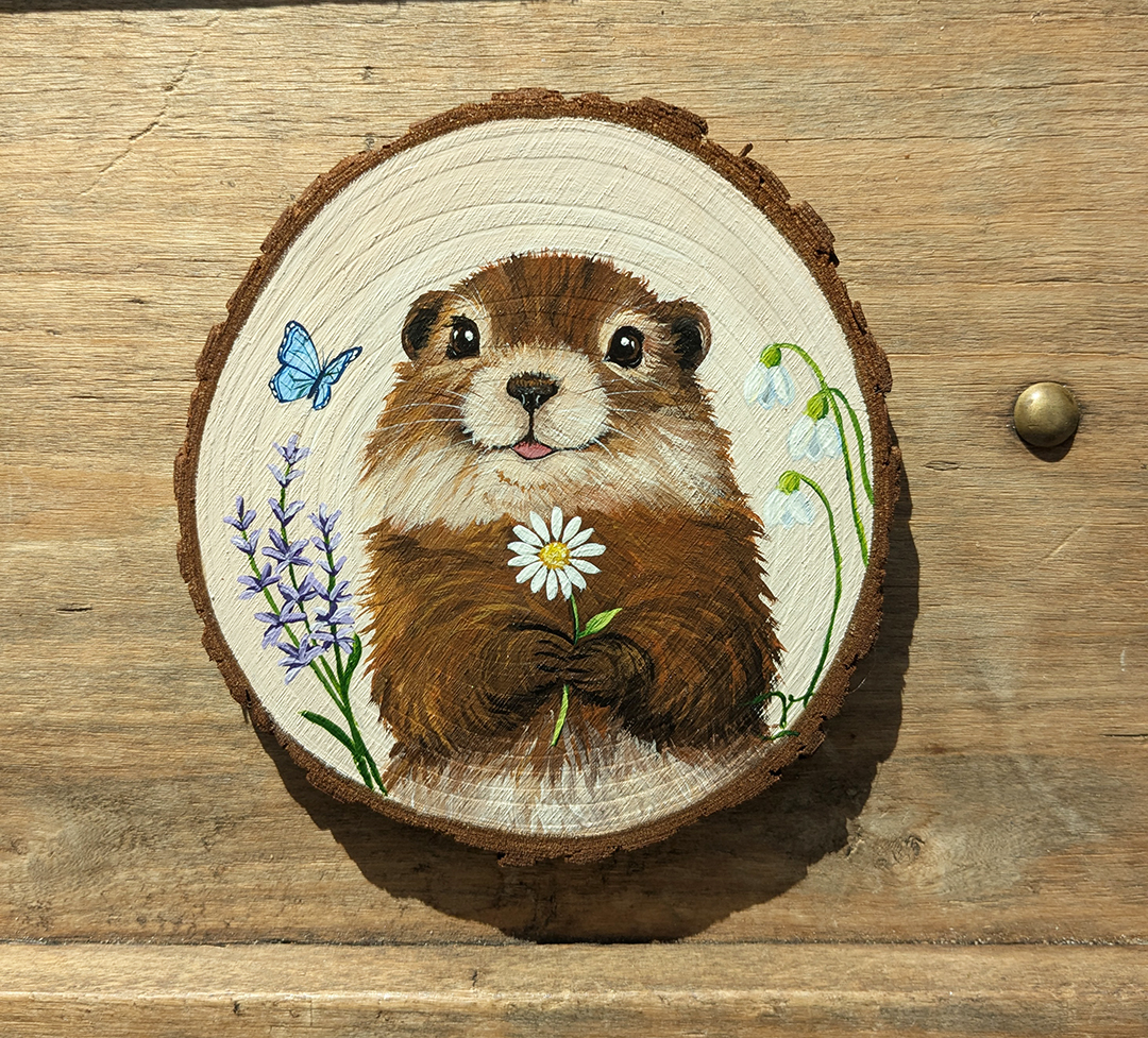 Marmotte printanière
