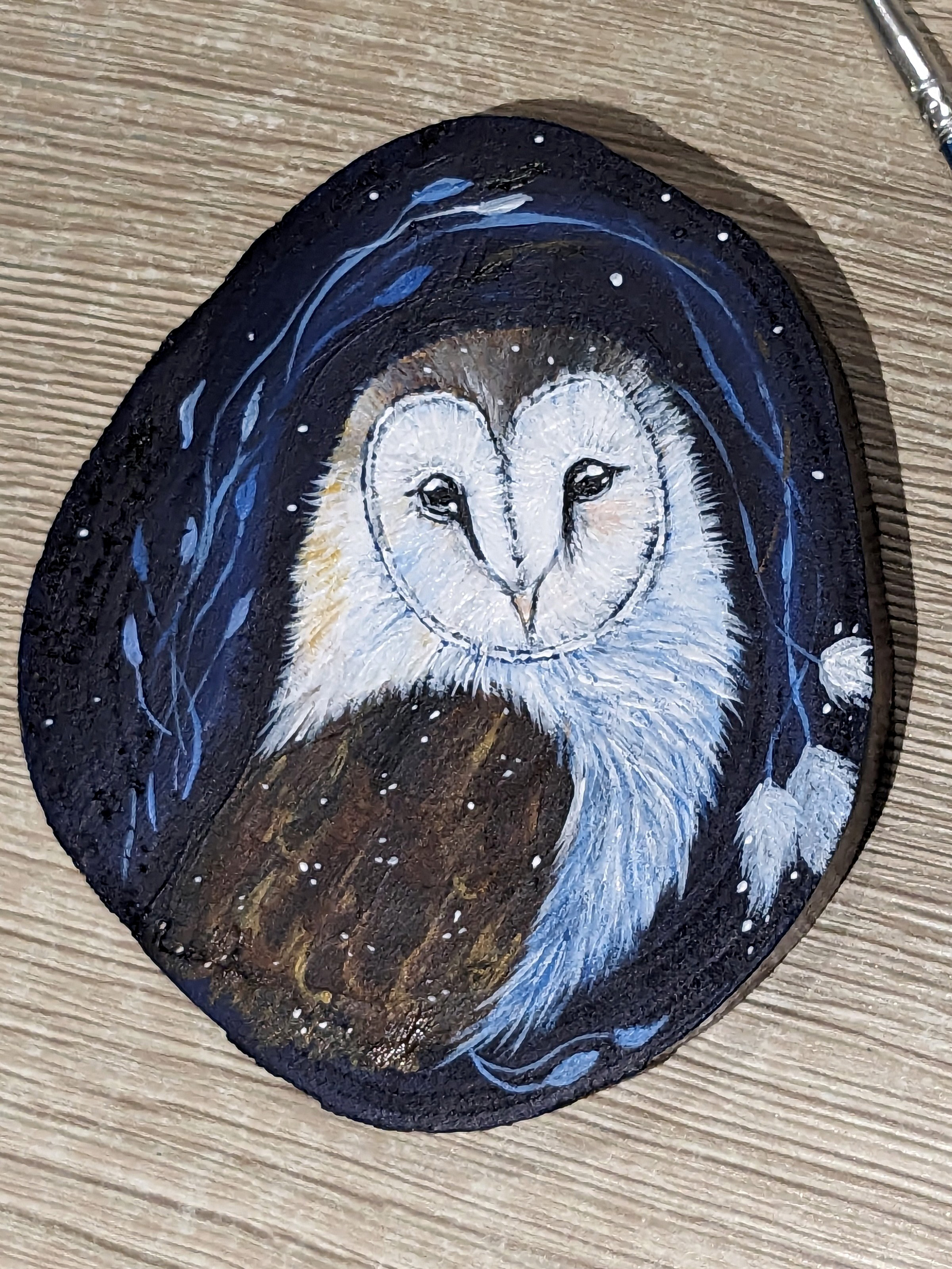 Owly night