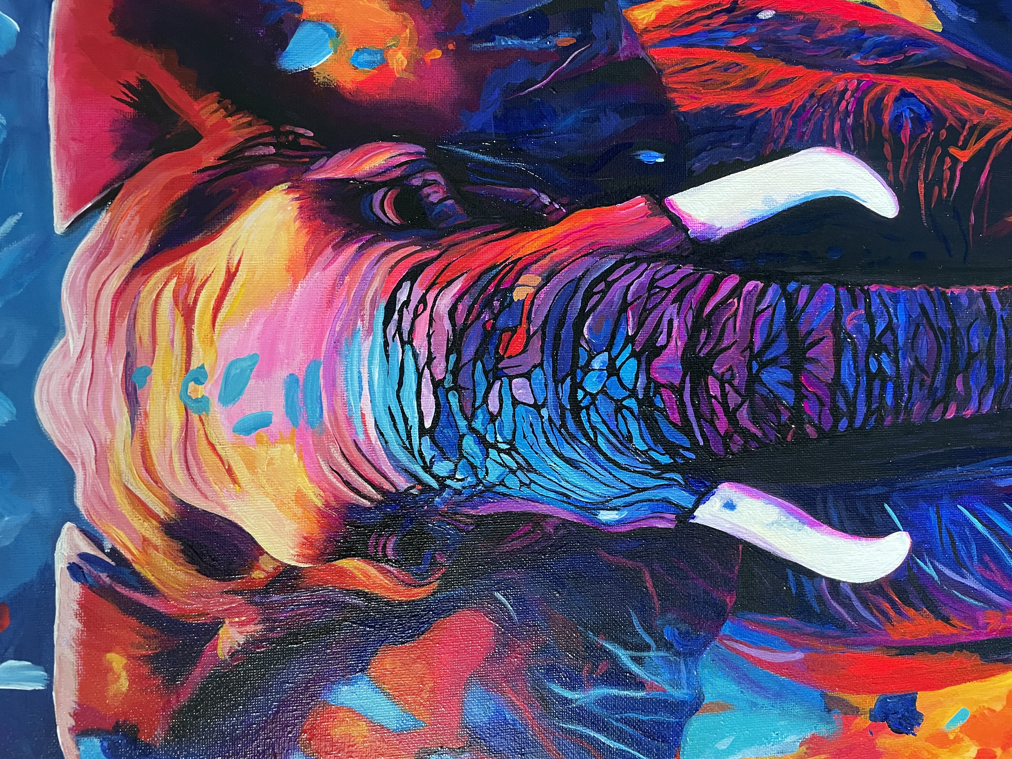 African Pulse