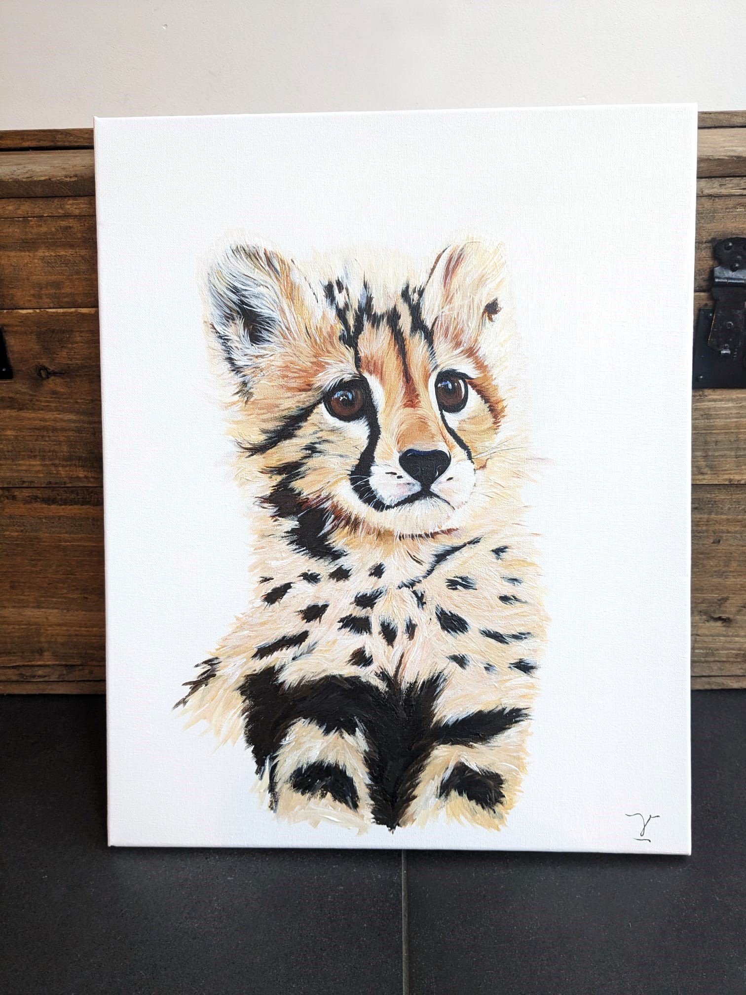 Baby cheetah