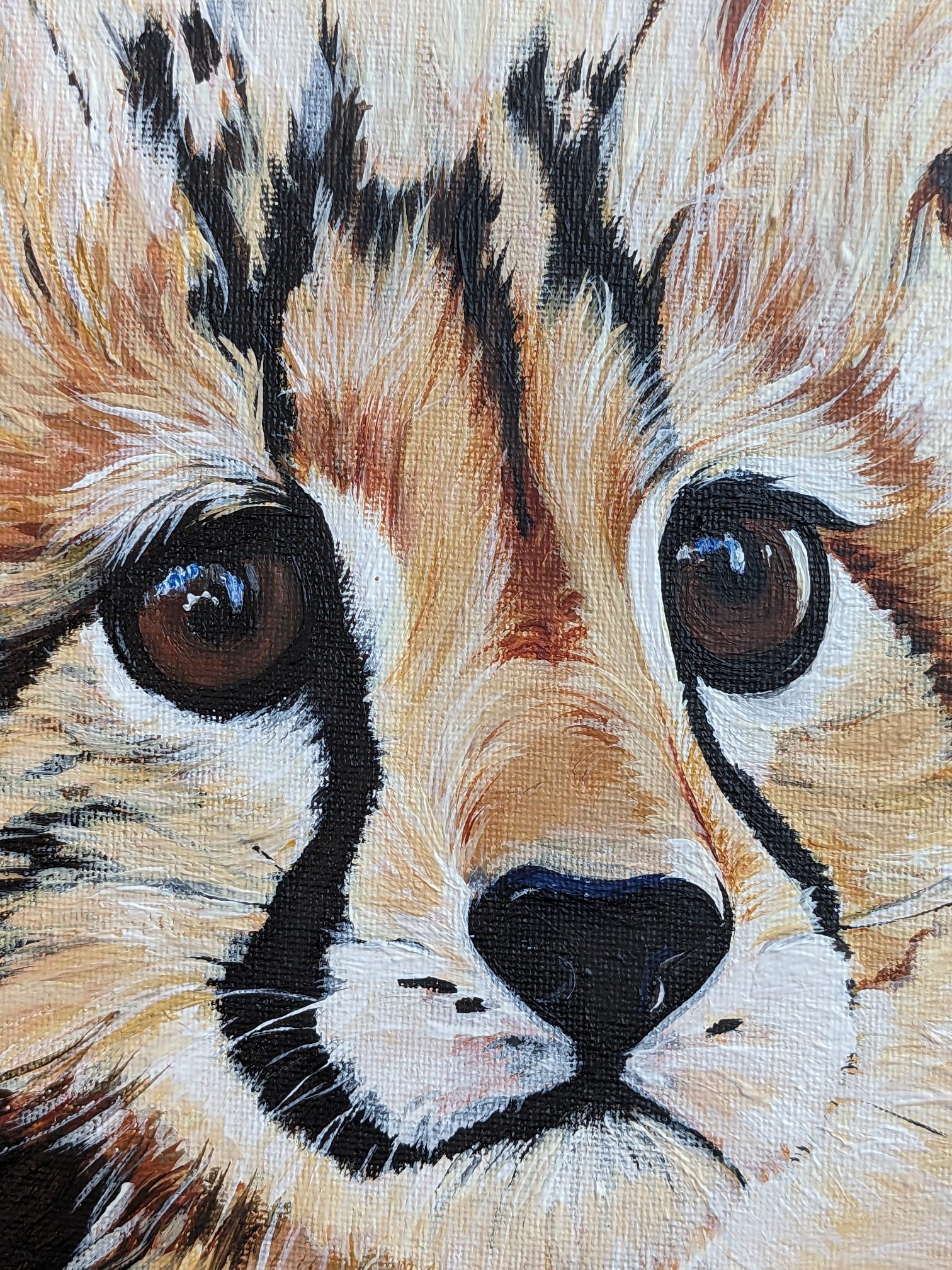 Baby cheetah