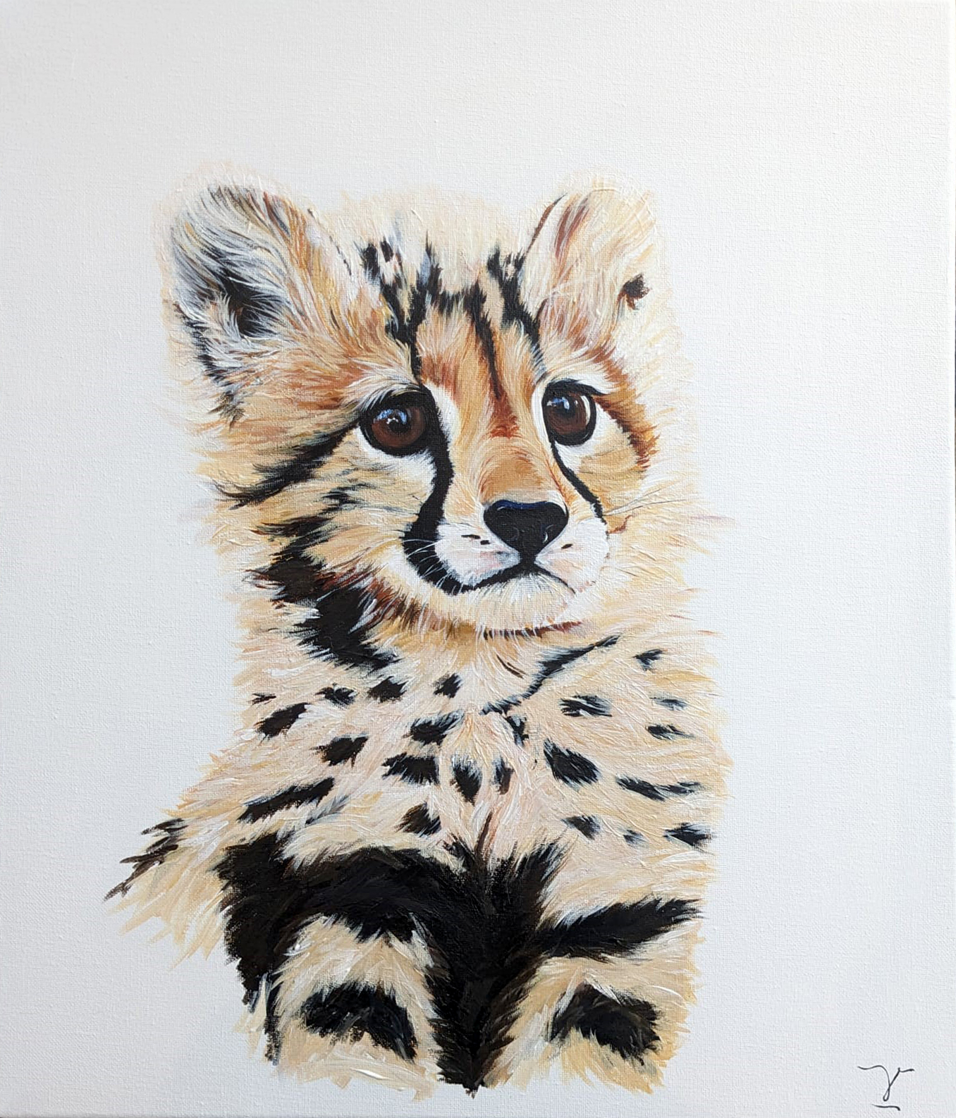 Baby cheetah