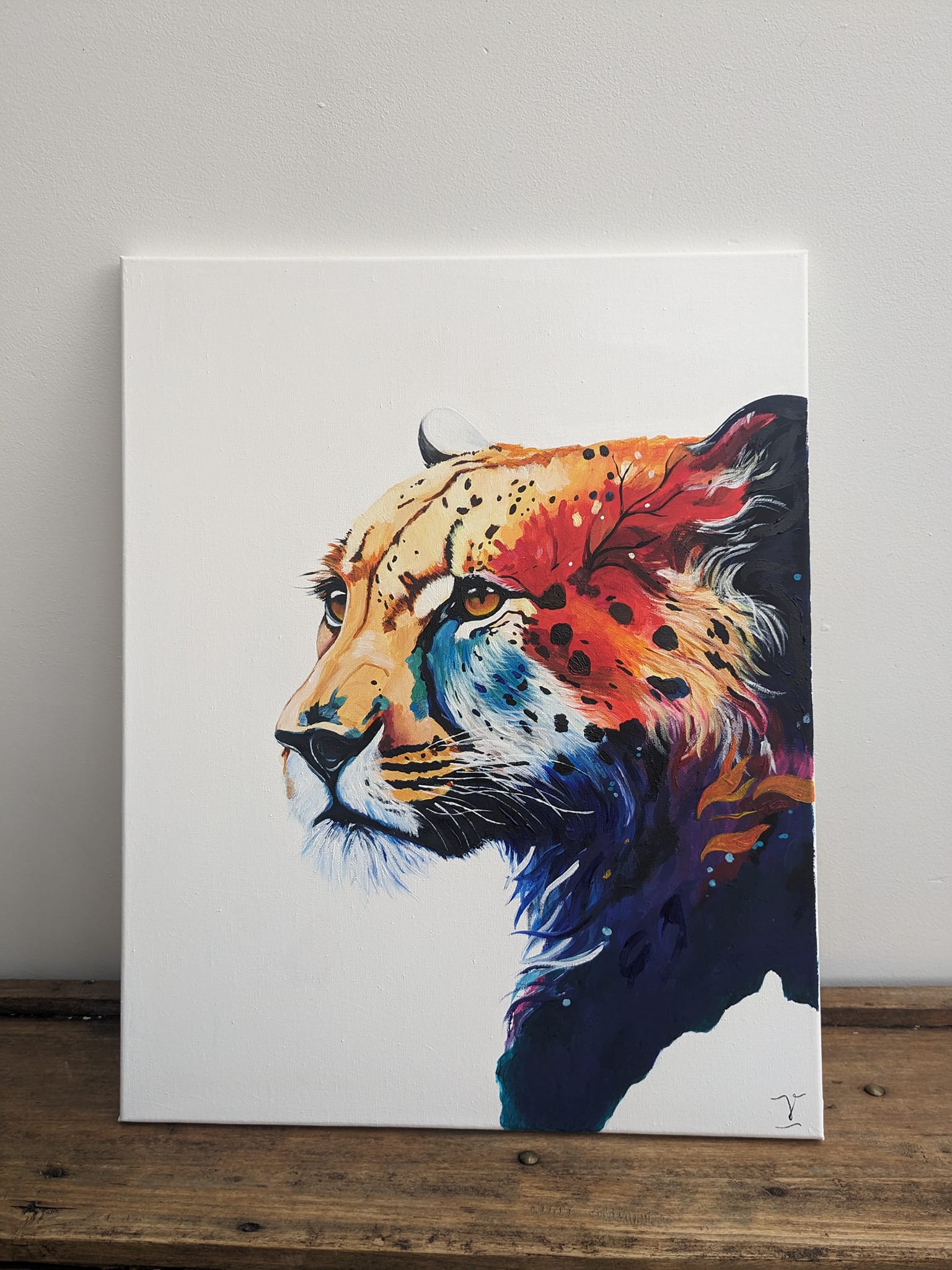 Guépard