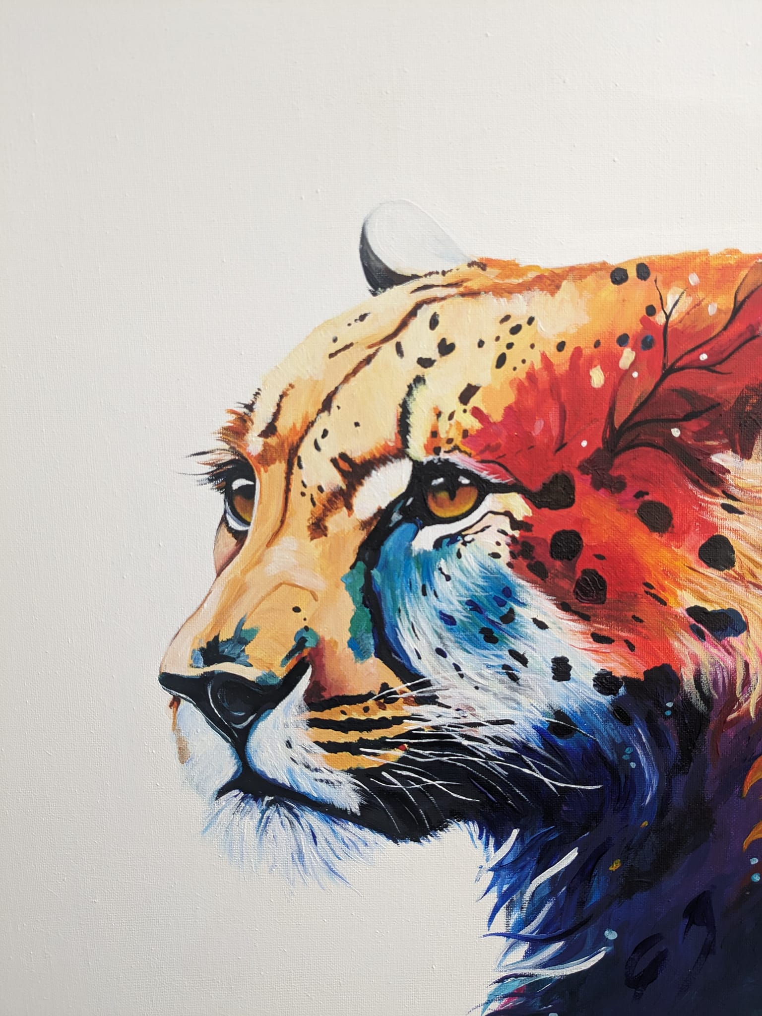Guépard