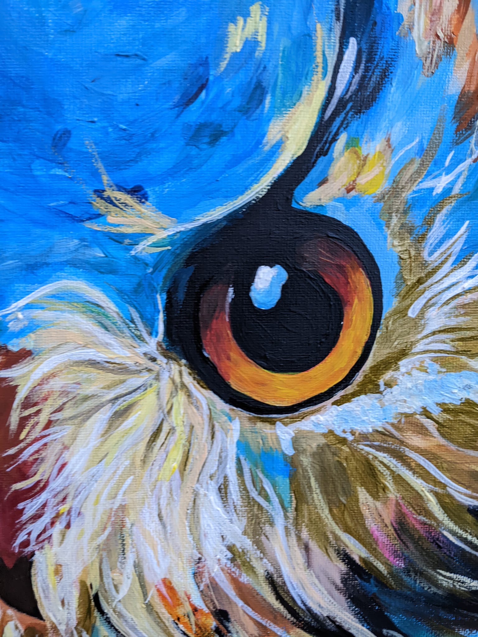 Hibou