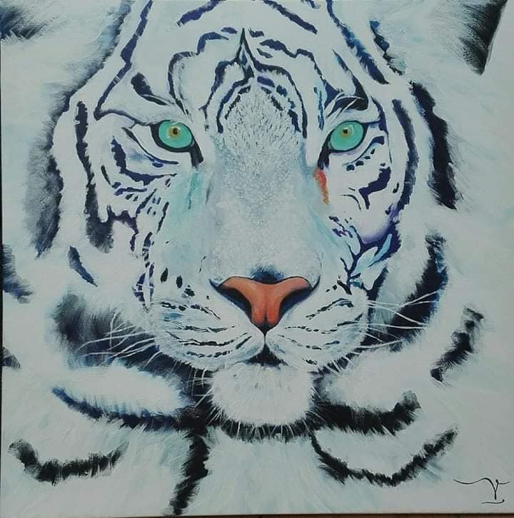 Tigre blanc